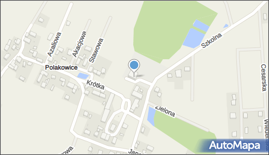 Pałac w Polakowicach, Szkolna 5, Polakowice 55-020 - Pałac, Dwór