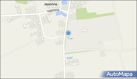 Zespół dworsko - parkowy w Jasionnej, Jasionna 26A, Jasionna 98-235 - Pałac, Dwór