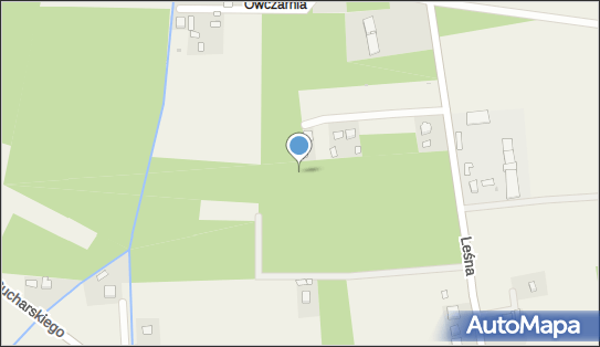 Podworski, Leśna 61A, Olesno 33-210 - Park, Ogród