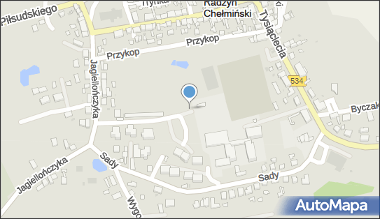 1 miejsce, prof. Mariana Gumowskiego, Radzyń Chełmiński 87-220 - Parking dla niepełnosprawnych