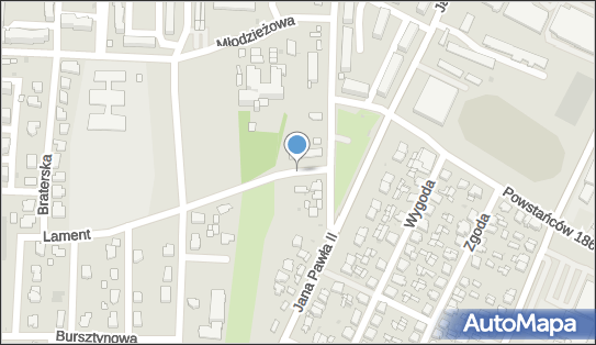 Parking dla niepełnosprawnych, bł. Bolesławy Lament, Łowicz 99-311 - Parking dla niepełnosprawnych