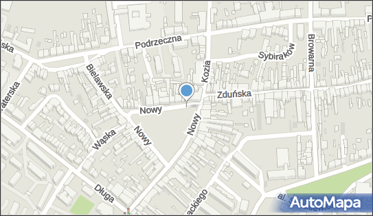 Parking dla niepełnosprawnych, Plac Nowy Rynek, Łowicz - Parking dla niepełnosprawnych