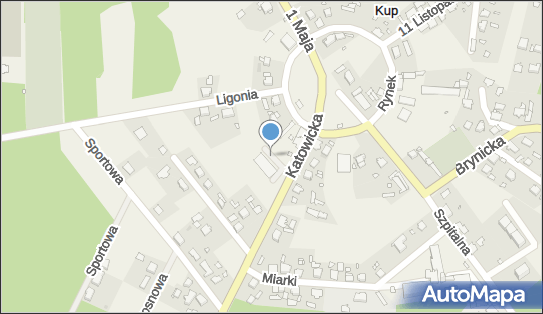 Dino, Katowicka, Kup 46-082 - Parking