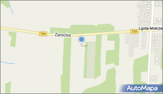 Parking, DW 789, Żarecka, Lgota Górna - Parking