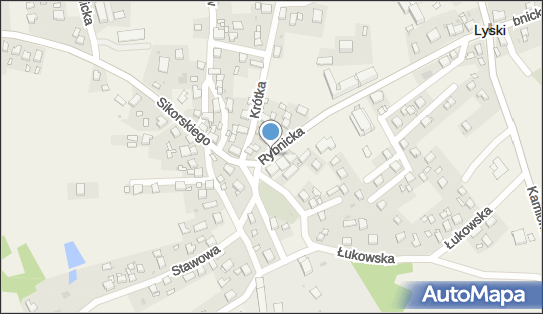 Parking, Rybnicka, Lyski 44-295 - Parking