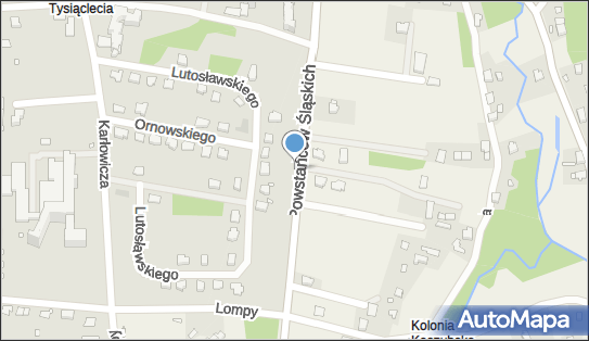 Parking, Powstańców Śląskich, Głuchołazy 48-340 - Parking