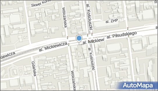 nr 154, Aleja Adama Mickiewicza 10, Łódź - Parkomat