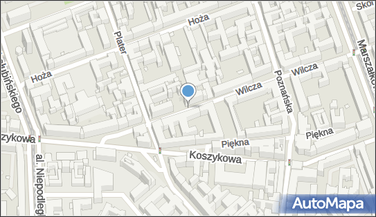Parkomat, Wilcza 65, Warszawa 00-679 - Parkomat