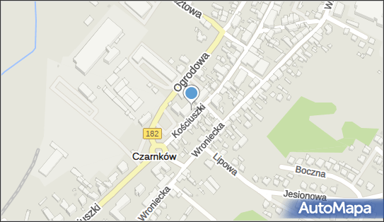 Pekao SA - Bankomat, Kościuszki Tadeusza, gen. 61, Czarnków 64-700, godziny otwarcia