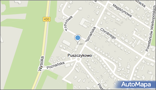 Pekao SA - Bankomat, Poznańska 108C, Puszczykowo 62-040, godziny otwarcia