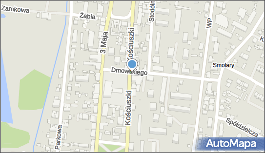 Pekao SA - Bankomat, pon-ndz 00:00-24:00, Gostynin, godziny otwarcia