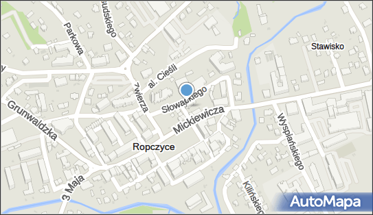 Pekao SA - Bankomat, pon-ndz 00:00-24:00, Ropczyce, godziny otwarcia