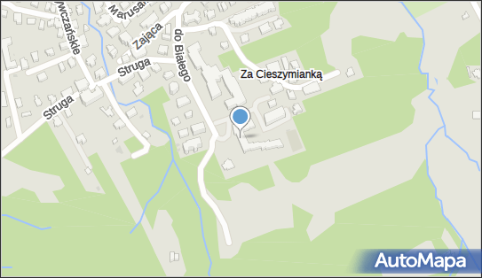 BIAŁY POTOK , Droga Do Białego 7, Zakopane 34-500 - Pensjonat, numer telefonu