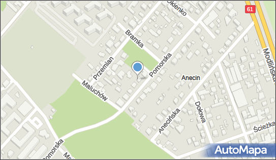 5241753287, Antipasto Pizza & Cafe Cezary Cieplak 