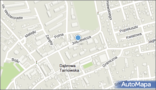 Ateńska, Berka Joselewicza 4a, Dąbrowa Tarnowska 33-200 - Pizzeria