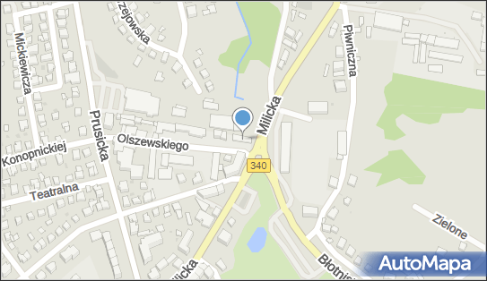 Damiano's, Jana Olszewskiego 6, Trzebnica 55-100 - Pizzeria, numer telefonu
