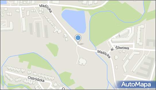 Dominos Pizza 40095, Maślicka, Wrocław 54-104 - Pizzeria, godziny otwarcia, numer telefonu