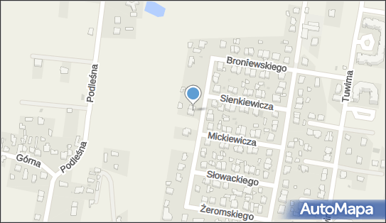 1181472110, Mateusiak Edward, Eddie Pizza 