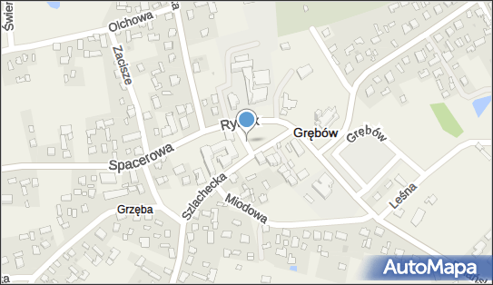 Fiori, Rynek 35, Grębów 39-410 - Pizzeria, numer telefonu