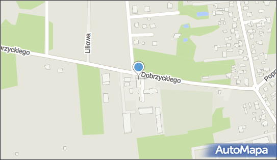 Pizz3ria Bar, Henryka Dobrzyckiego 5, Cegłów 05-319 - Pizzeria, godziny otwarcia, numer telefonu