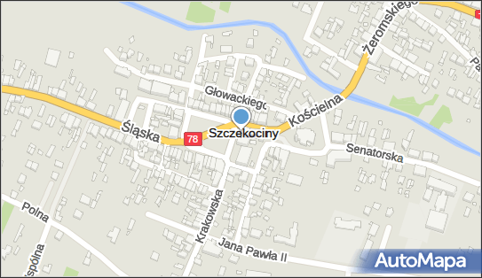 Pizza & Cafe, Plac gen. Tadeusza Kościuszki 29, Szczekociny 42-445 - Pizzeria