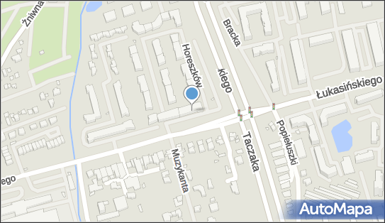 8421542056, Pizza Team Justyna Drozd 