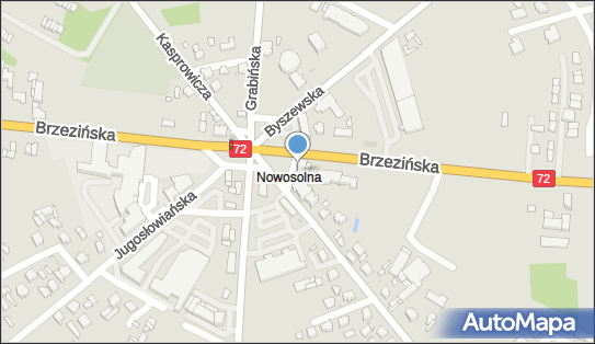 Pizzeria Nowosolna, Rynek Nowosolna 2, Łódź 92-701 - Pizzeria, godziny otwarcia, numer telefonu