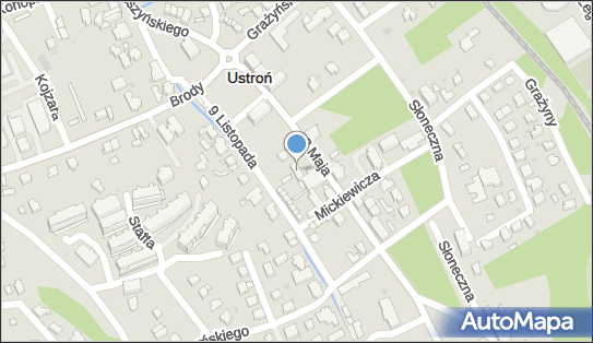 Pizzeria Verona, ul. 3 Maja 2, Ustroń - Pizzeria, godziny otwarcia, numer telefonu