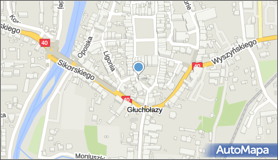 Pod Basztą, Plac Basztowy 8, Głuchołazy 48-340 - Pizzeria, numer telefonu