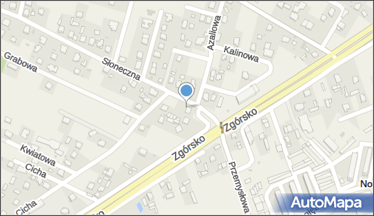 Torino, Słoneczna 1, Zagrody 26-052 - Pizzeria