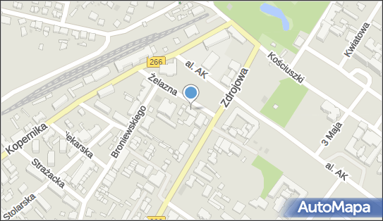 U Tomaszka, Żelazna 3, Ciechocinek 87-720 - Pizzeria, godziny otwarcia, numer telefonu