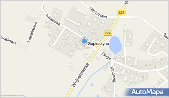 Plac zabaw, Ogródek, Wejherowska224, Sopieszyno 84-215 - Plac zabaw, Ogródek