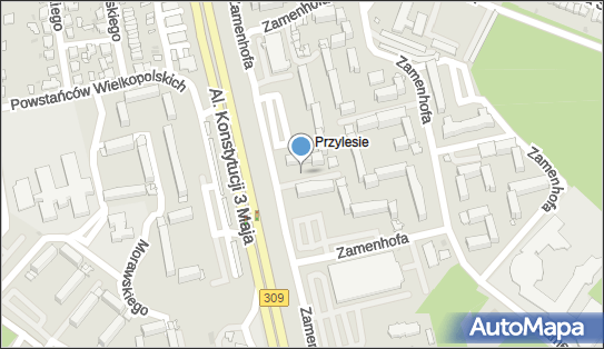 Plac zabaw, Ogródek, Zamenhofa Ludwika, dr. 73, Leszno 64-100 - Plac zabaw, Ogródek