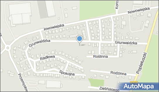 Plac zabaw, Ogródek, Króla Władysława Jagiełły 16 55-080 - Plac zabaw, Ogródek
