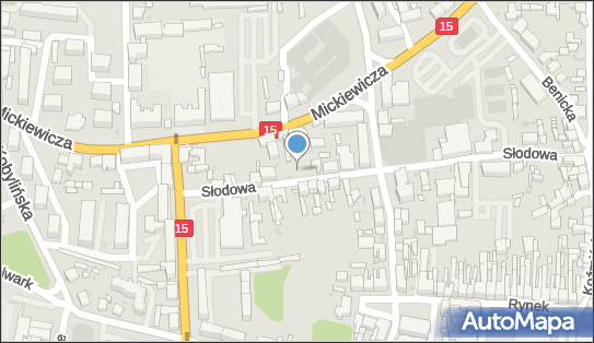 Plac zabaw, Ogródek, Słodowa 5, Krotoszyn 63-700 - Plac zabaw, Ogródek