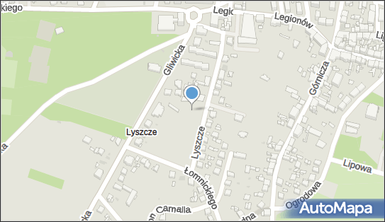 Plac zabaw, Ogródek, Lyszcze 15, Tarnowskie Góry 42-600 - Plac zabaw, Ogródek