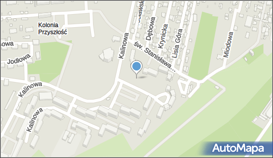 Plac zabaw, Ogródek, św. Stanisława Biskupa 8, Sosnowiec 41-208 - Plac zabaw, Ogródek