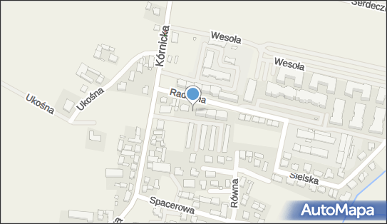 Plac zabaw, Ogródek, Radosna 6, Zalasewo 62-020 - Plac zabaw, Ogródek