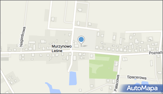 Plac zabaw, Ogródek, Poznańska 74, Murzynowo Leśne 63-023 - Plac zabaw, Ogródek