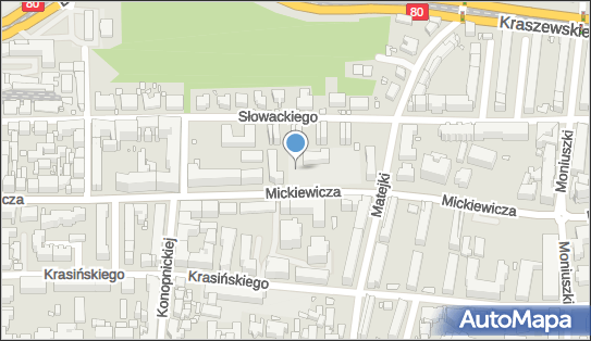 Plac zabaw, Ogródek, Mickiewicza Adama 46, Toruń 87-100 - Plac zabaw, Ogródek