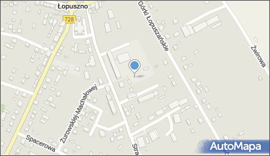 Plac zabaw, Ogródek, Strażacka, Łopuszno 26-070 - Plac zabaw, Ogródek