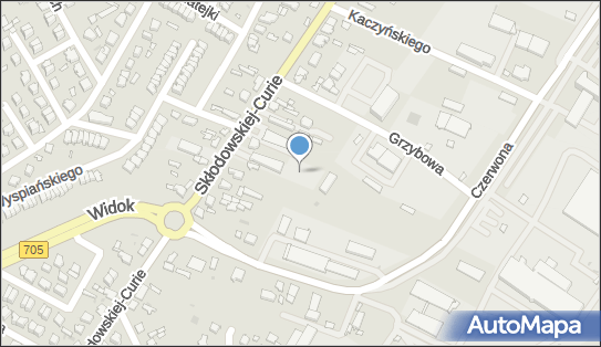 Plac zabaw, Ogródek, Skłodowskiej-Curie Marii, Skierniewice 96-100 - Plac zabaw, Ogródek