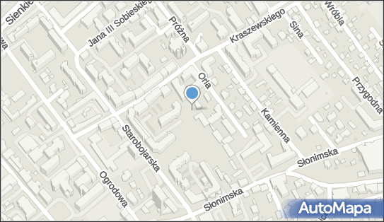 Plac zabaw, Ogródek, Kraszewskiego Józefa Ignacego 12B, Białystok 15-025 - Plac zabaw, Ogródek