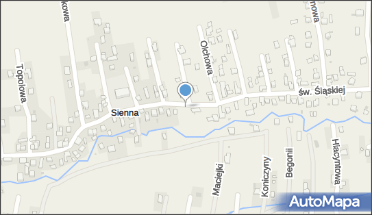 Plac zabaw, Ogródek, św. Jadwigi Śląskiej, Sienna 34-300 - Plac zabaw, Ogródek