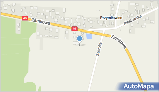 Plac zabaw, Ogródek, Zamkowa46 118, Przymiłowice 42-256 - Plac zabaw, Ogródek