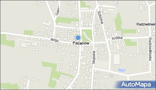 Planet Cash - Bankomat, Biechowska 2, Pacanów 28-133, godziny otwarcia