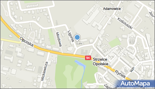 Planet Cash - Bankomat, Ligonia 2, Strzelce Opolskie 47-100, godziny otwarcia