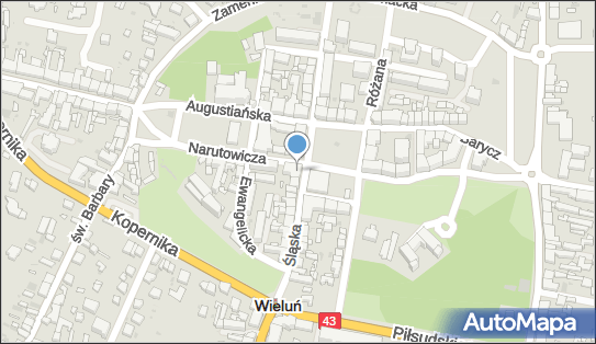 Planet Cash - Bankomat, Pl.Legionów 6, Wieluń 98-300, godziny otwarcia