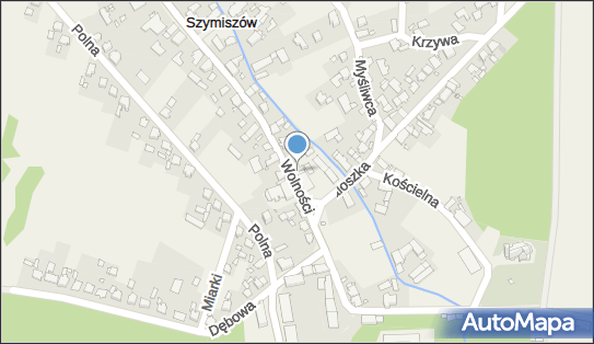 AP Szymiszów, Wolności 39, Szymiszów 47-100, godziny otwarcia, numer telefonu