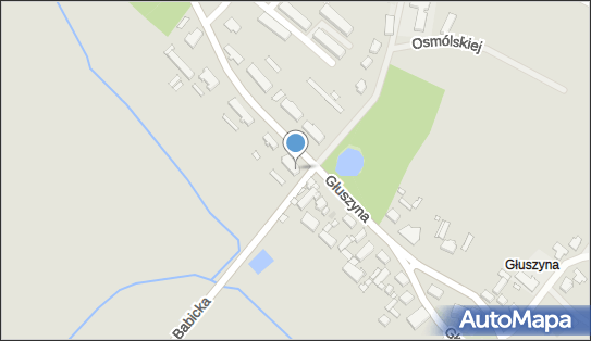 FUP Poznań 41, Głuszyna 136, Poznań 61-360, numer telefonu